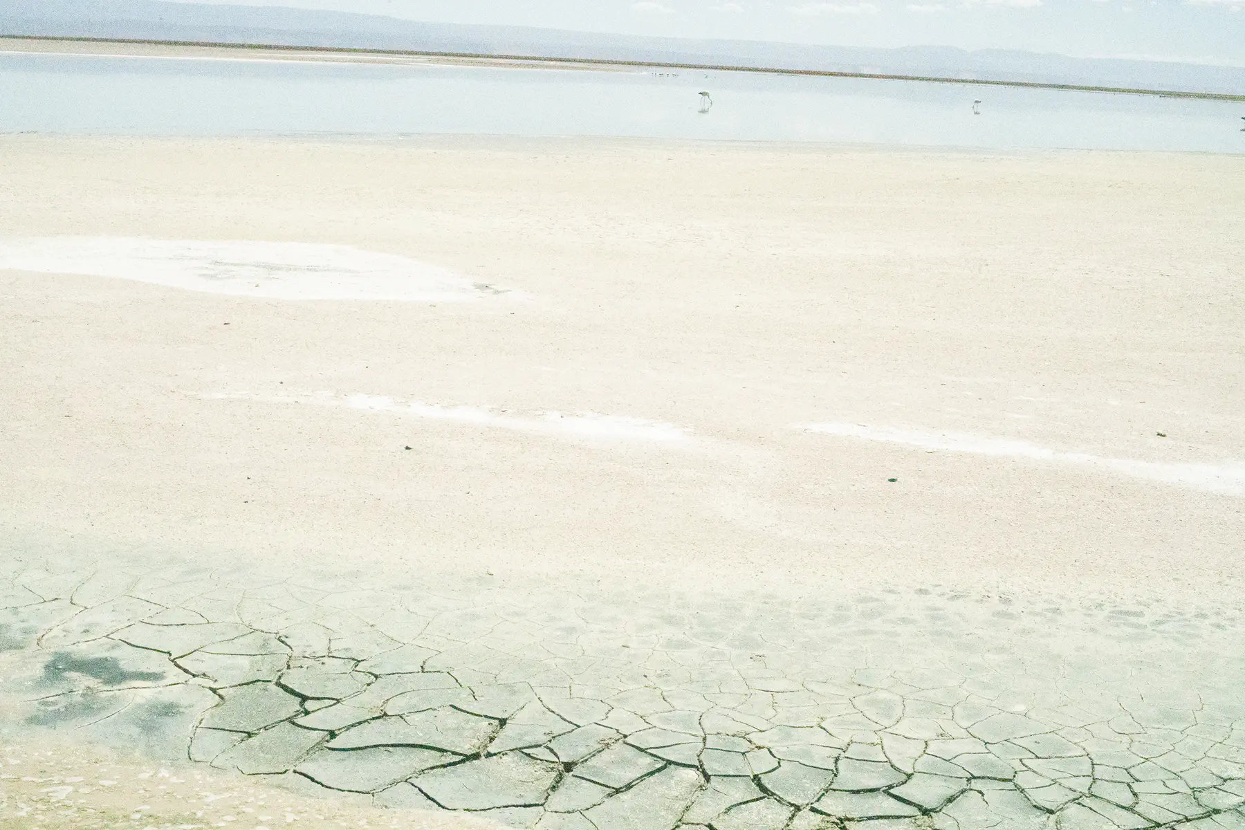 hotel_fauna-atacama-entorno_3