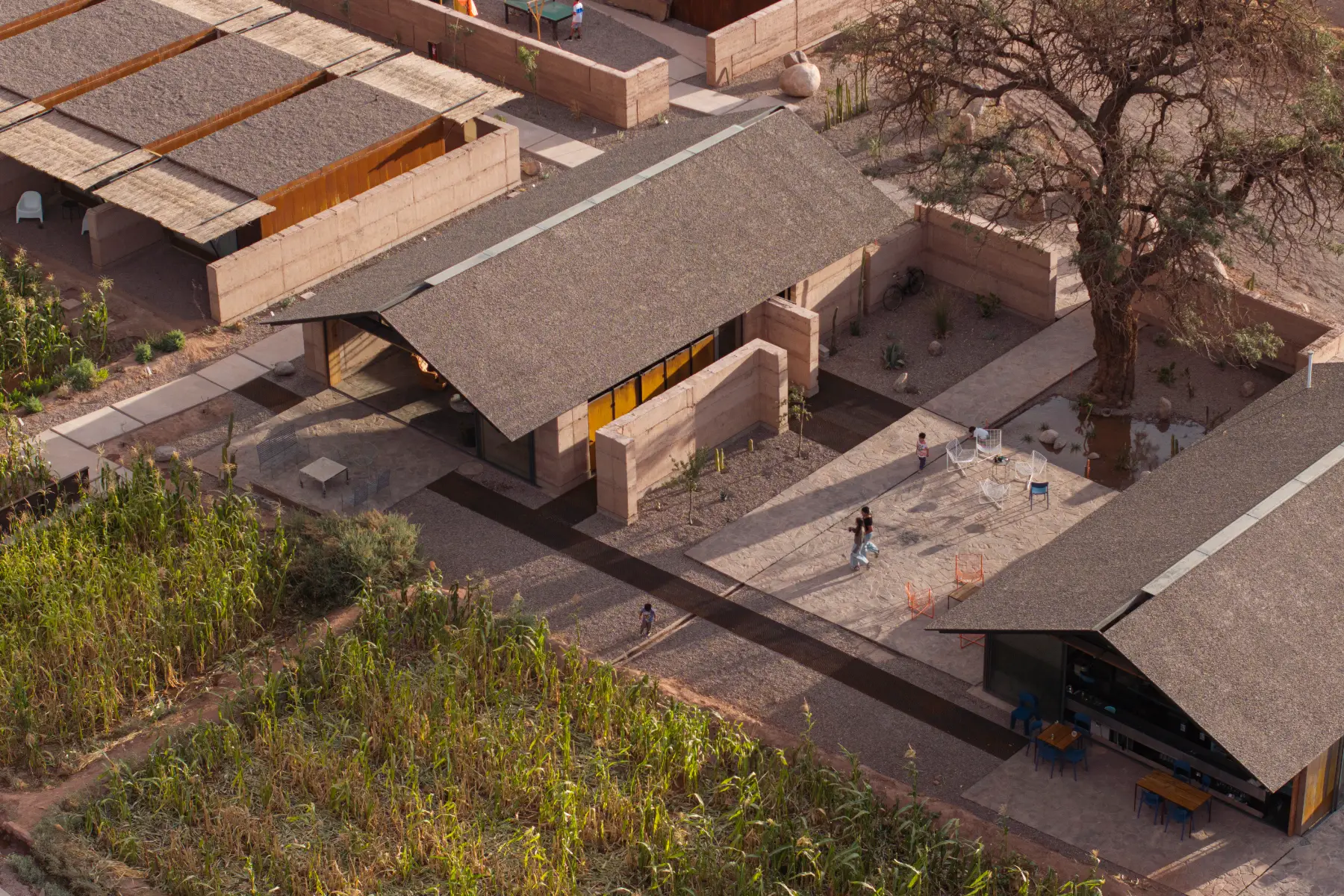 hotel_fauna-atacama-hor11