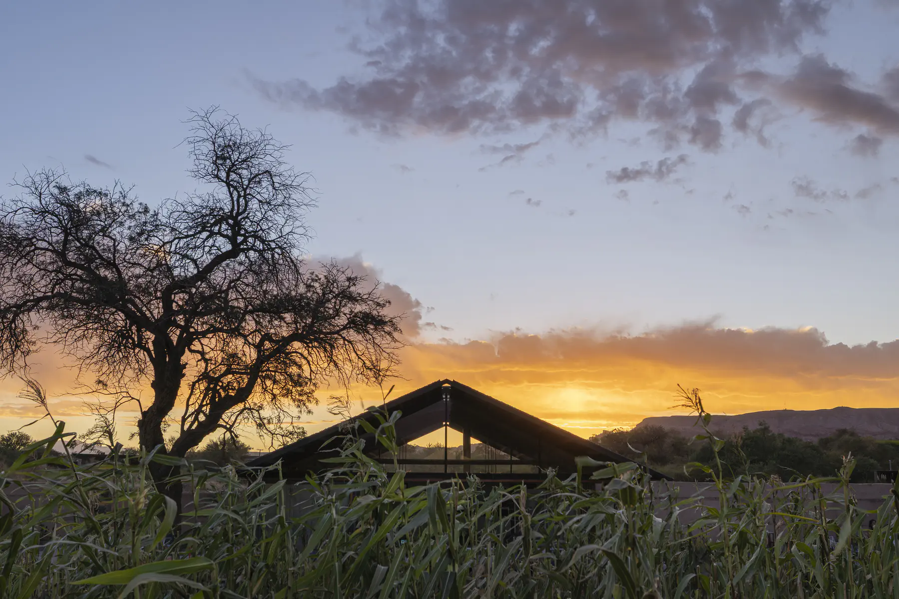 hotel_fauna-atacama-hor5