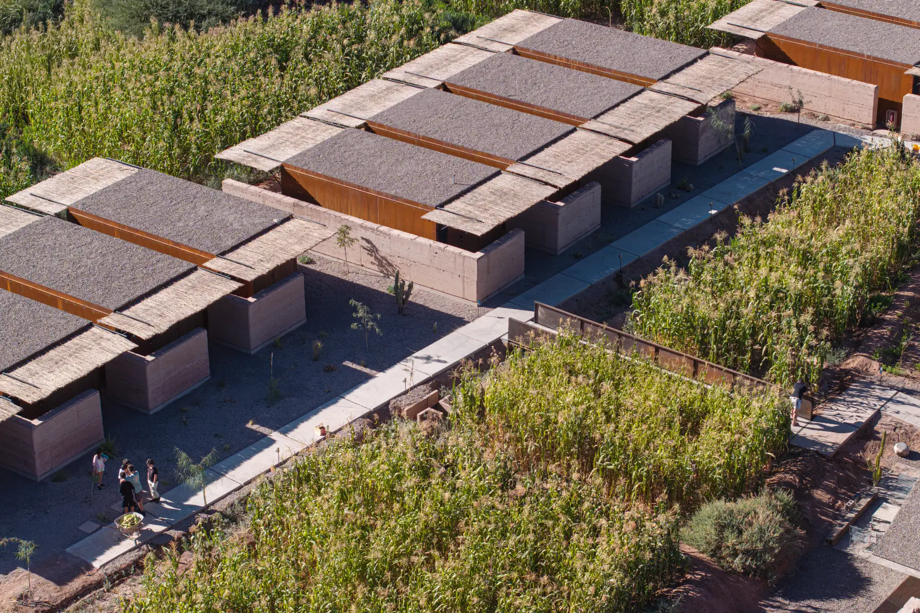 hotel_fauna-atacama-hor9